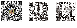 掃一掃咨詢更多
